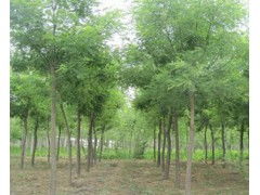 求購信息 買家 供應(yīng) 會商寶求購網(wǎng)