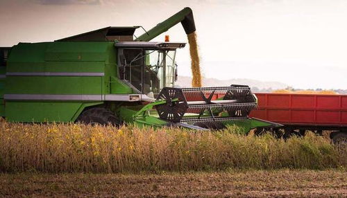 我國稻谷與小麥產(chǎn)量的統(tǒng)計方法解析