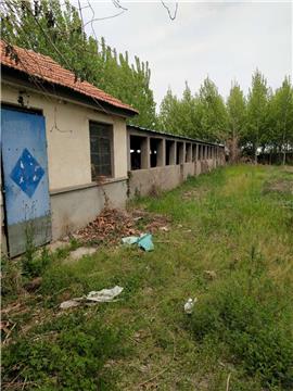 超值商機 1元/平，2800平米多用途場地出租，適合加工廠、養殖場、苗圃倉庫等