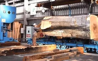 木工鋸發展史與板式開料設備的未來方向